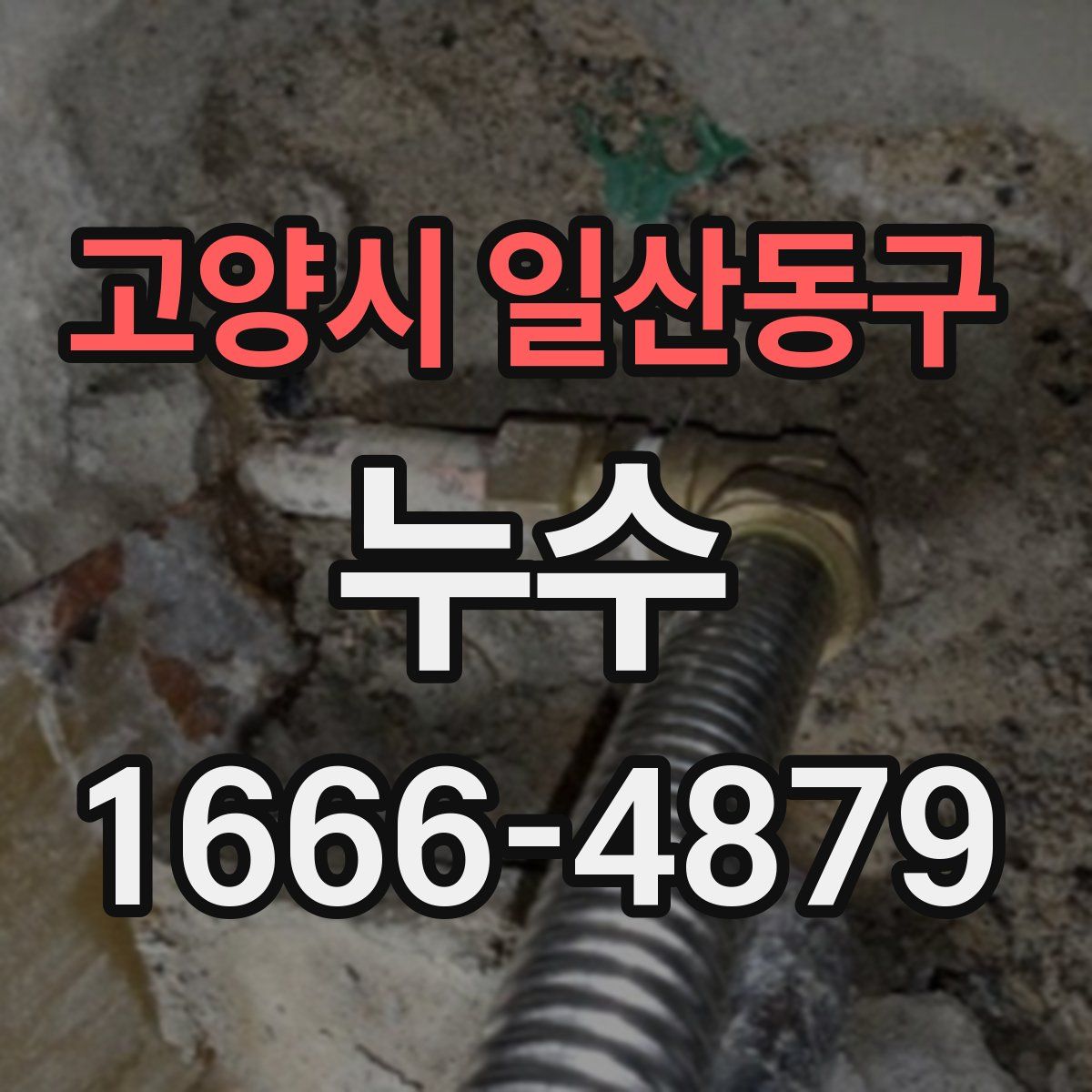 고양시 일산동구 누수