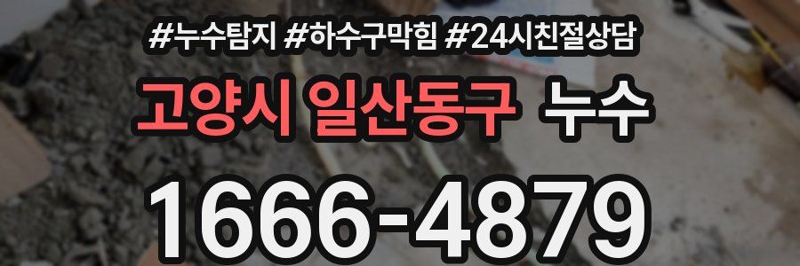 고양시 일산동구 누수