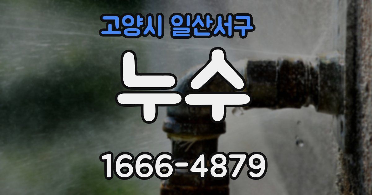 고양시 일산서구 누수
