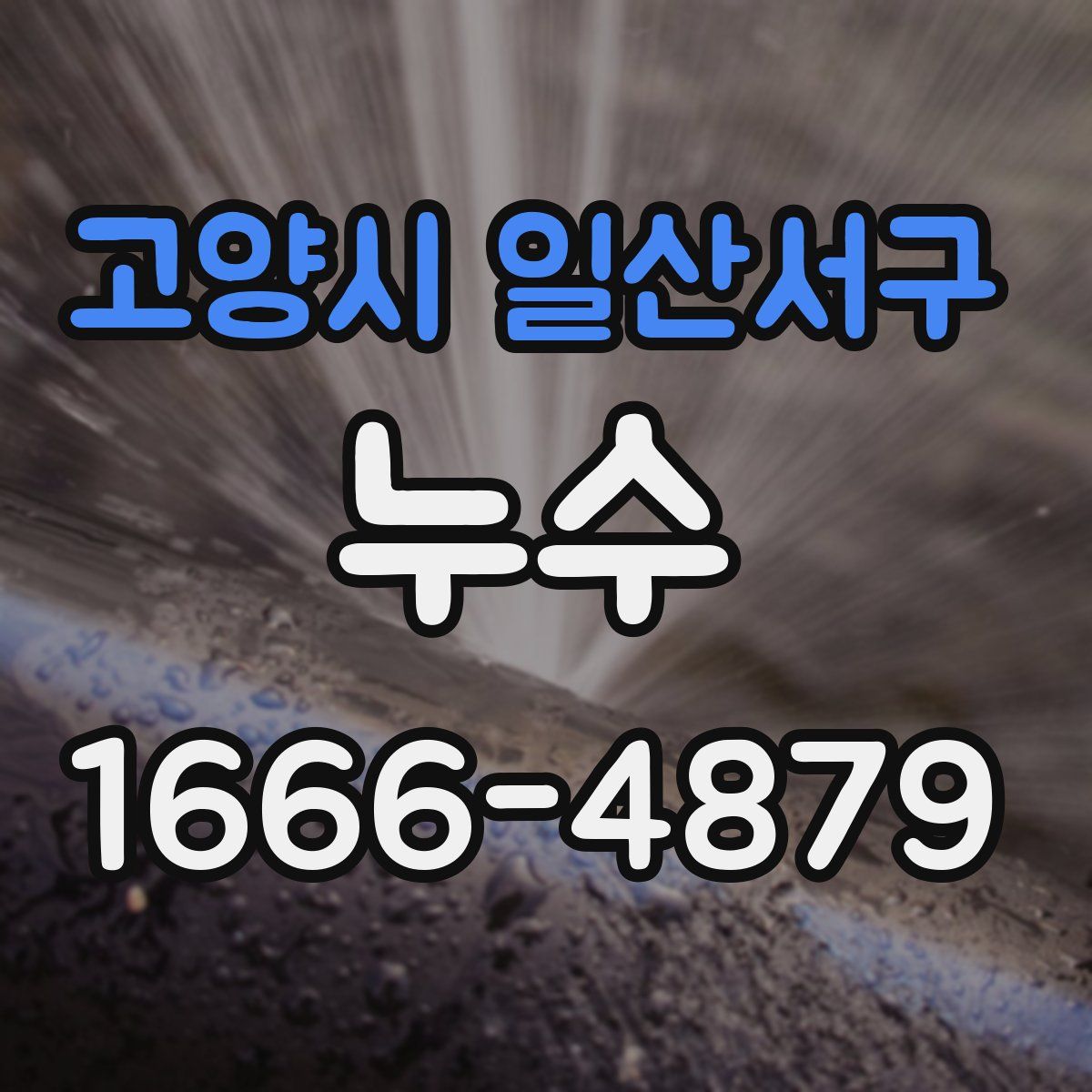 고양시 일산서구 누수