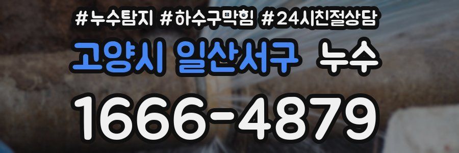 고양시 일산서구 누수