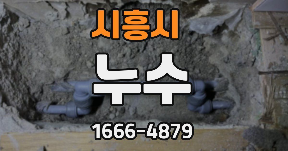시흥시 누수