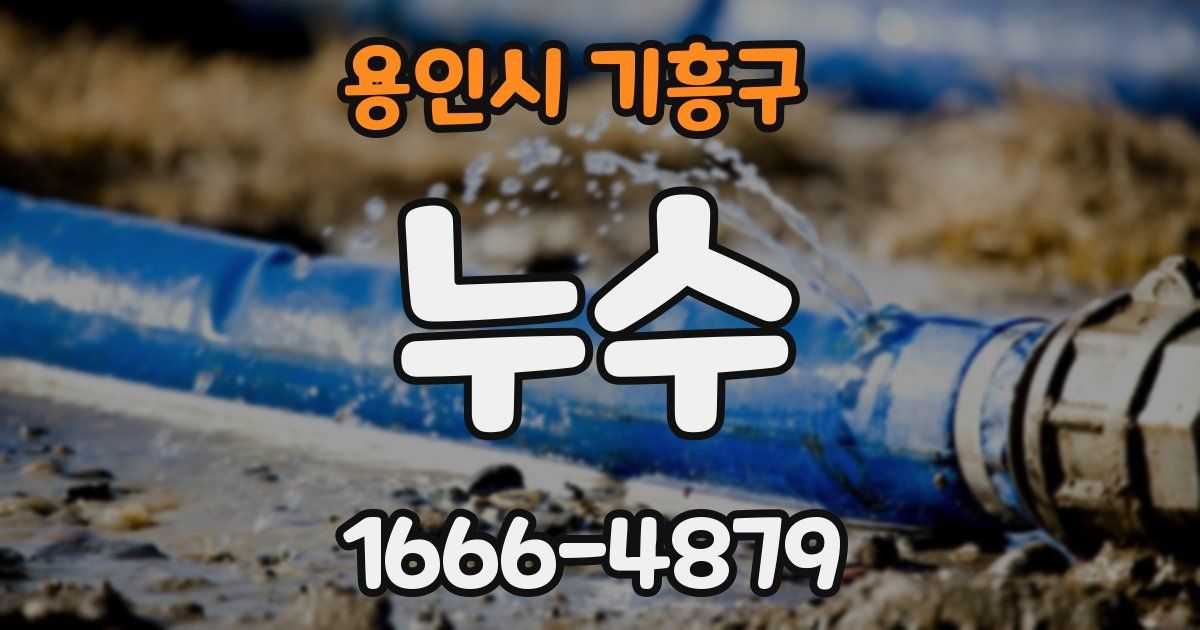 용인시 기흥구 누수
