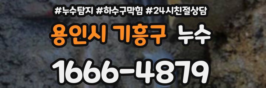 용인시 기흥구 누수