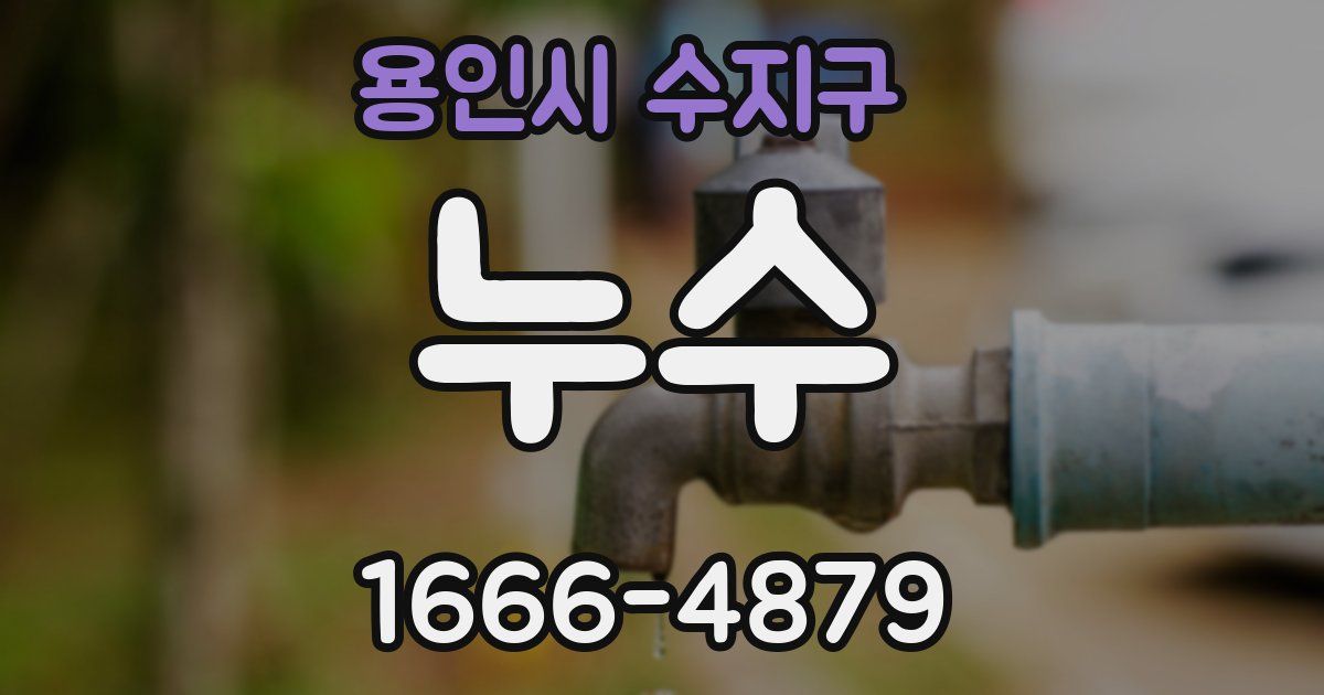 용인시 수지구 누수