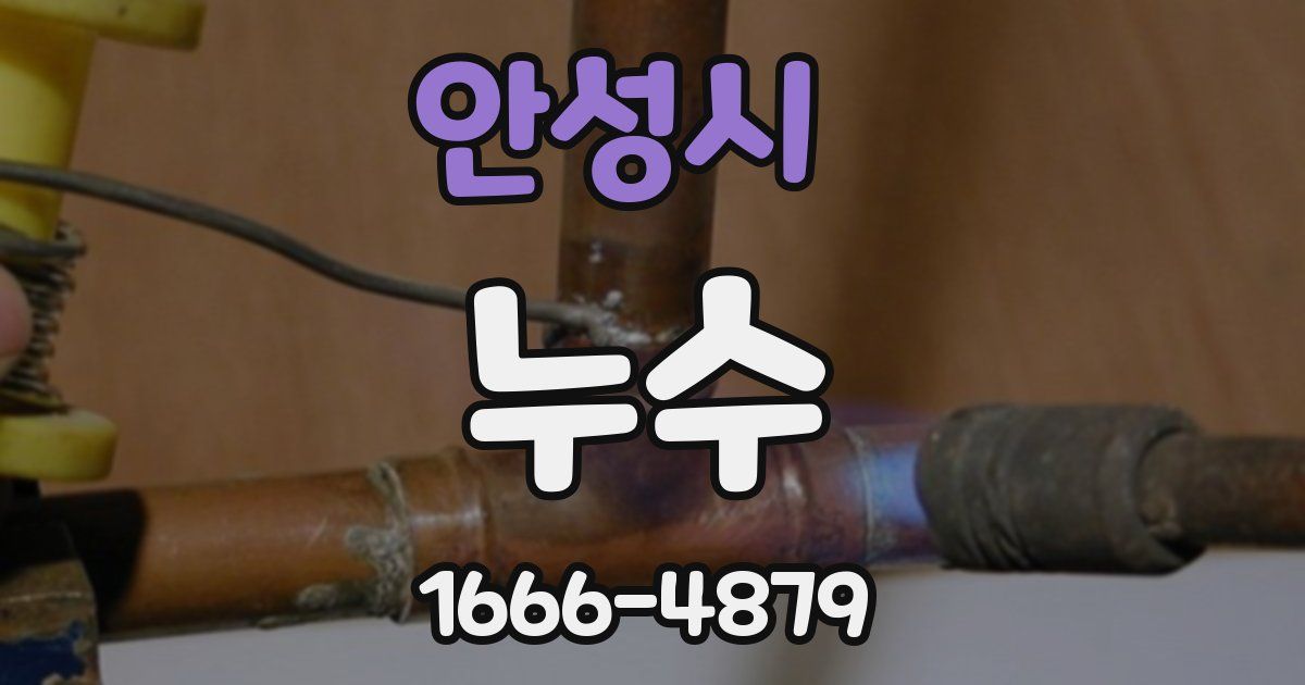 안성시 누수