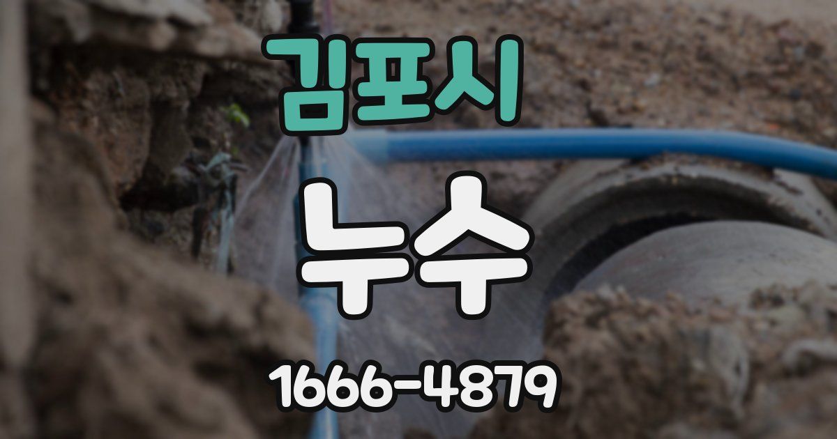 김포시 누수