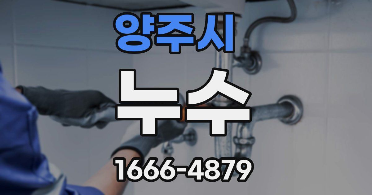 양주시 누수