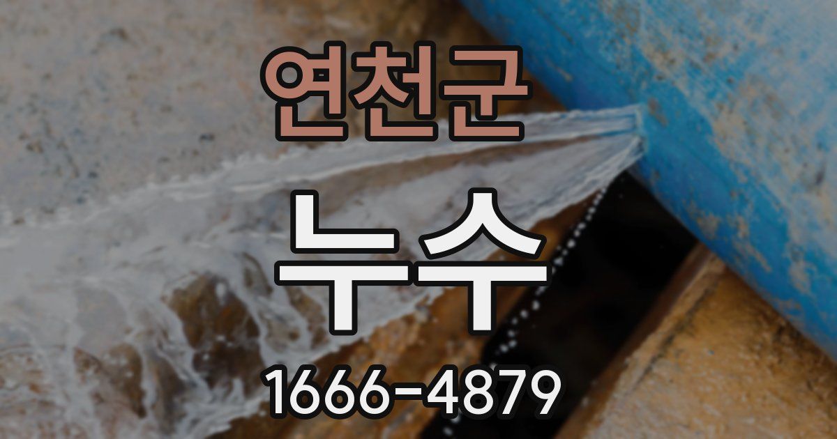 연천군 누수