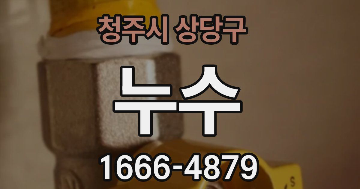 청주시 상당구 누수
