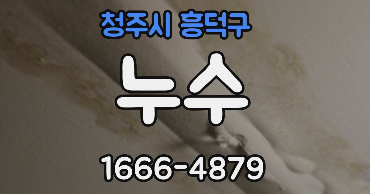 청주시 흥덕구 누수