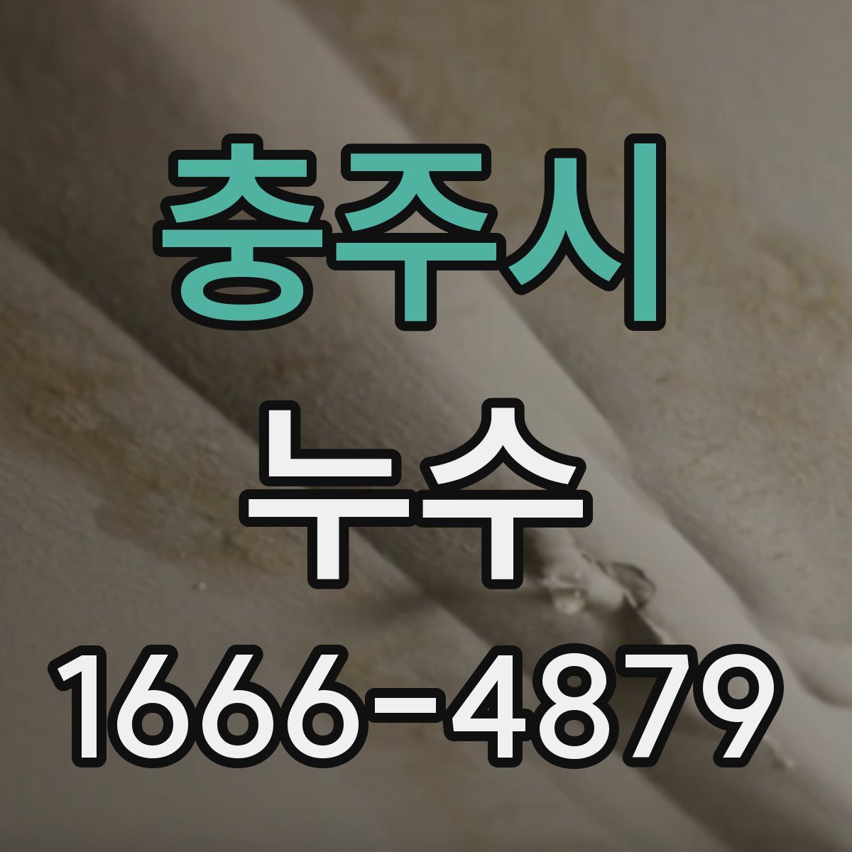 충주시 누수