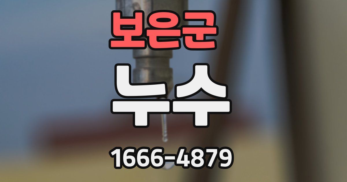 보은군 누수