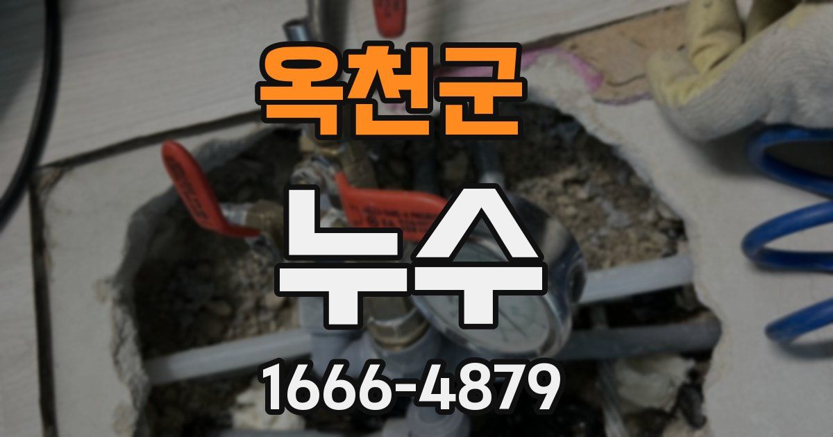 옥천군 누수