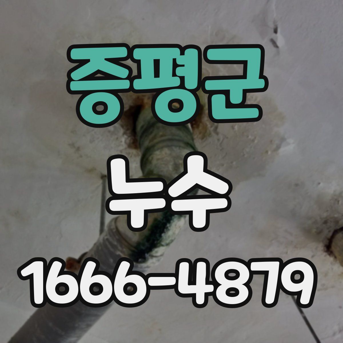 증평군 누수