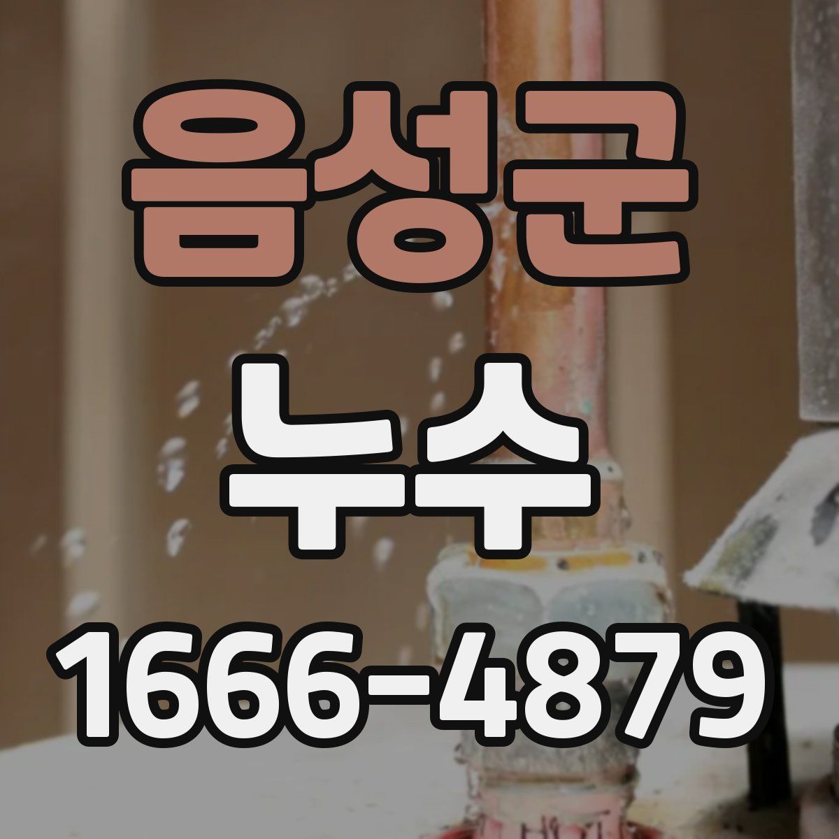 음성군 누수