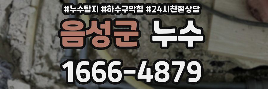 음성군 누수