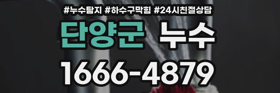단양군 누수