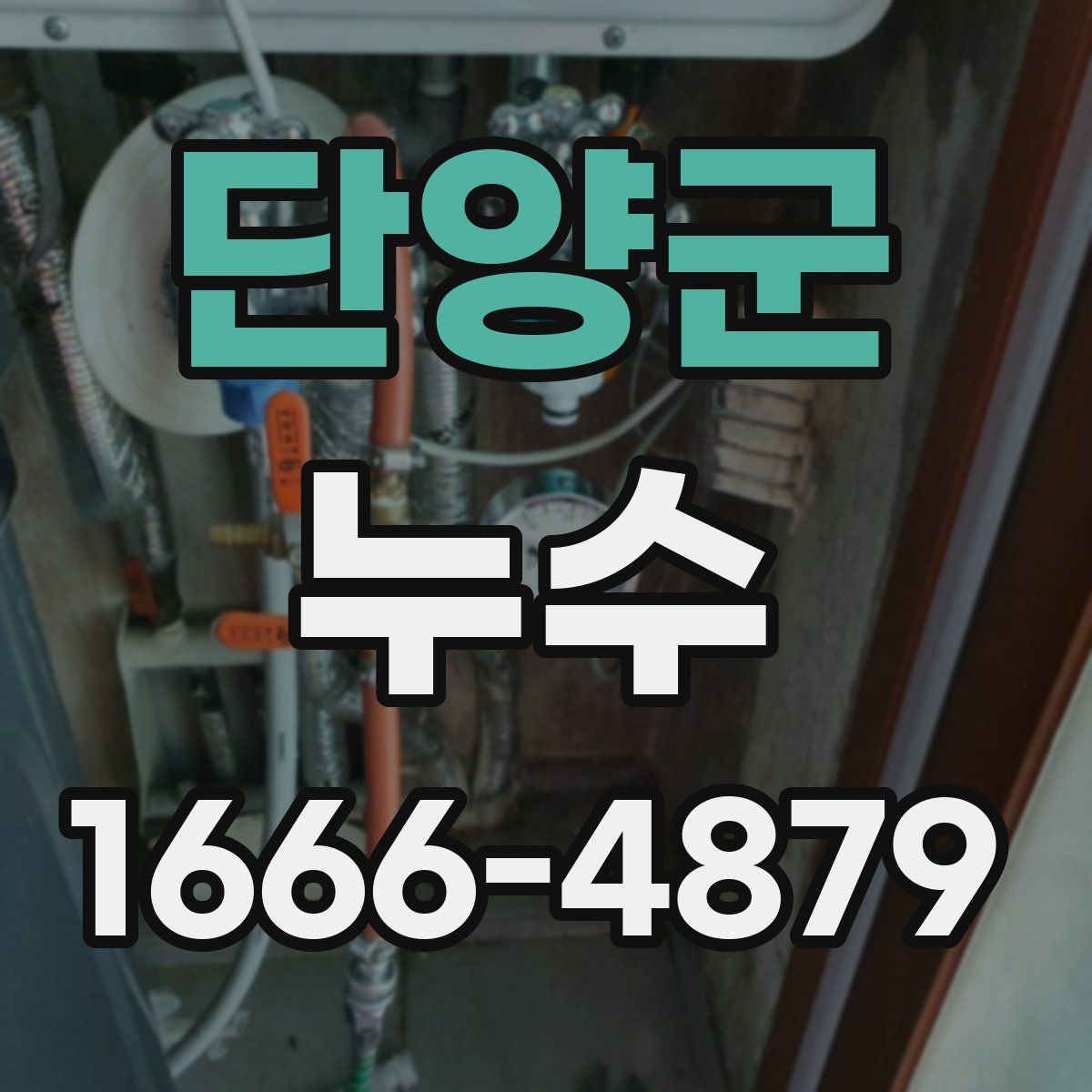 단양군 누수
