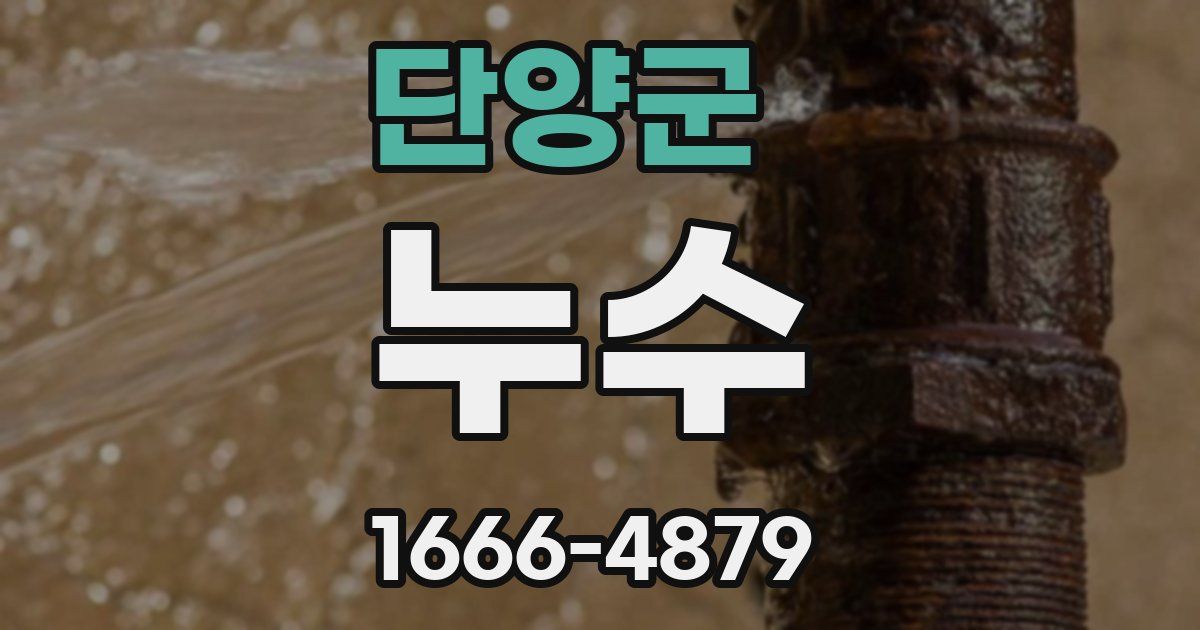 단양군 누수