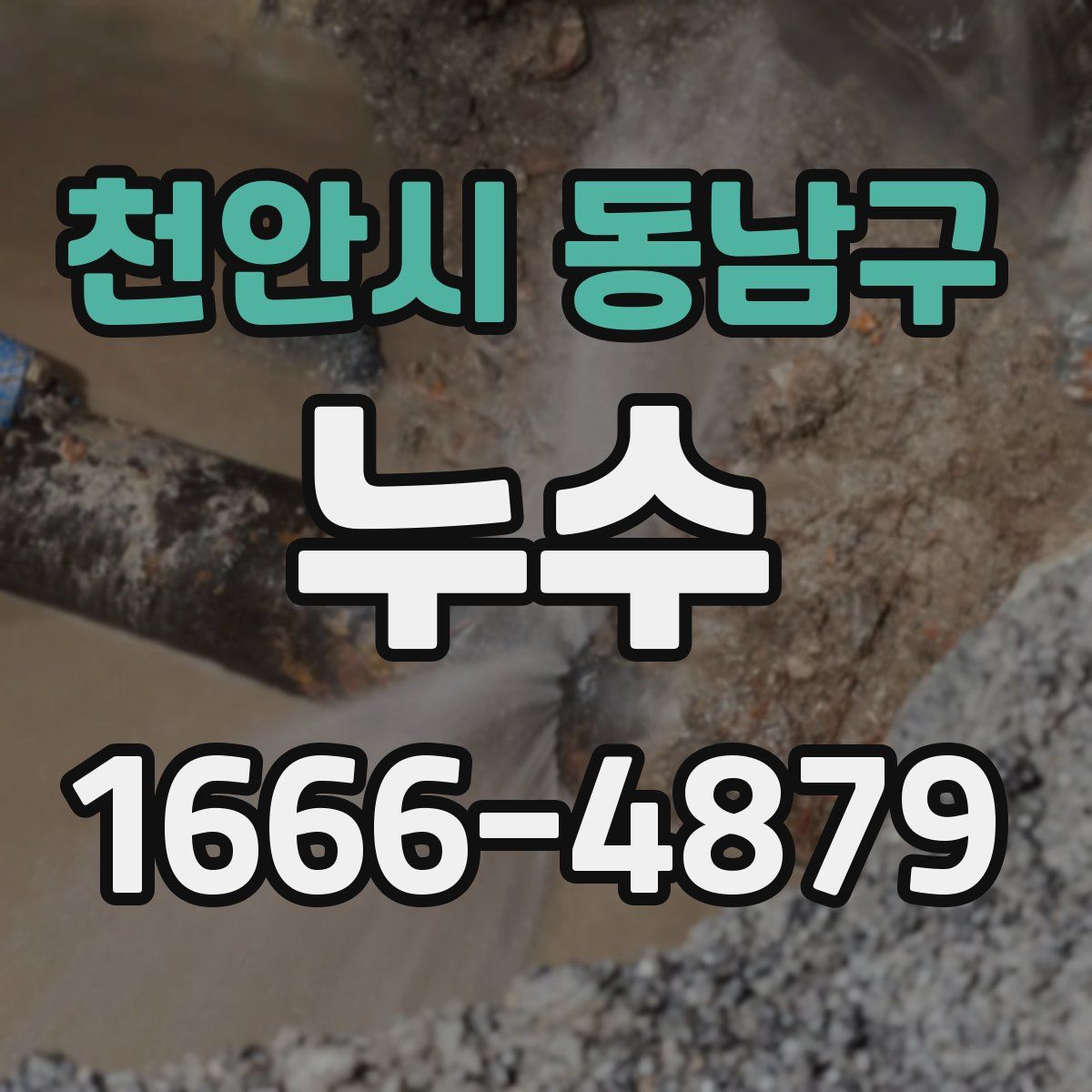 천안시 동남구 누수