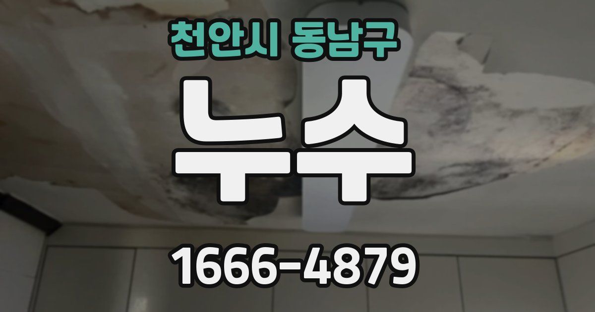 천안시 동남구 누수
