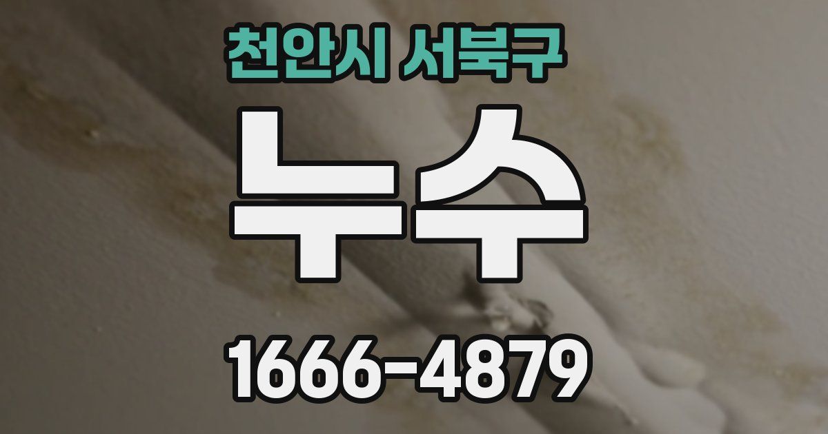 천안시 서북구 누수