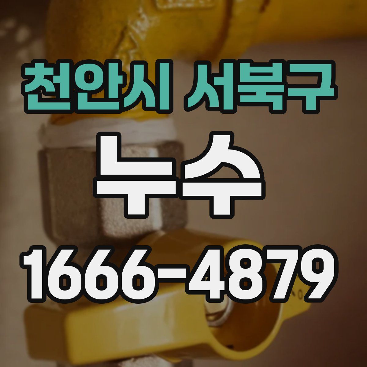 천안시 서북구 누수