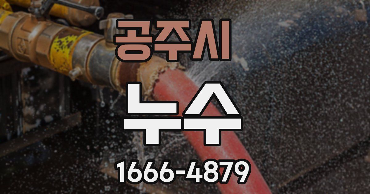 공주시 누수