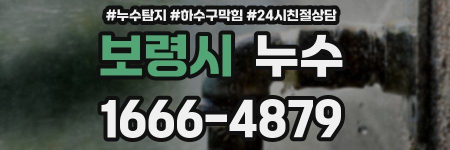 보령시 누수