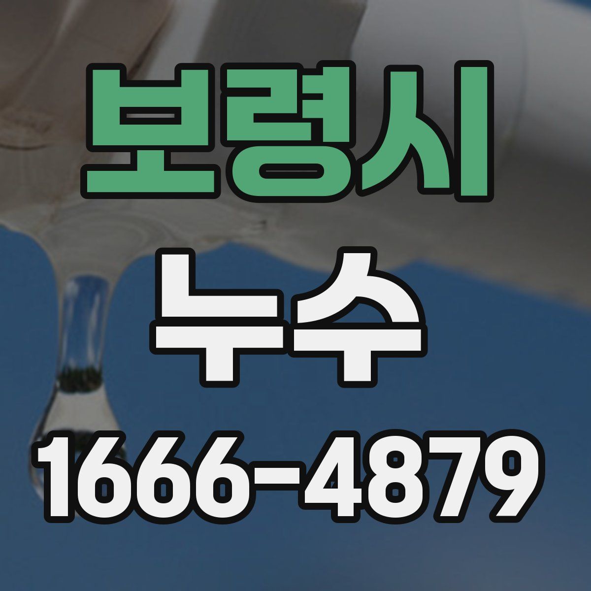 보령시 누수