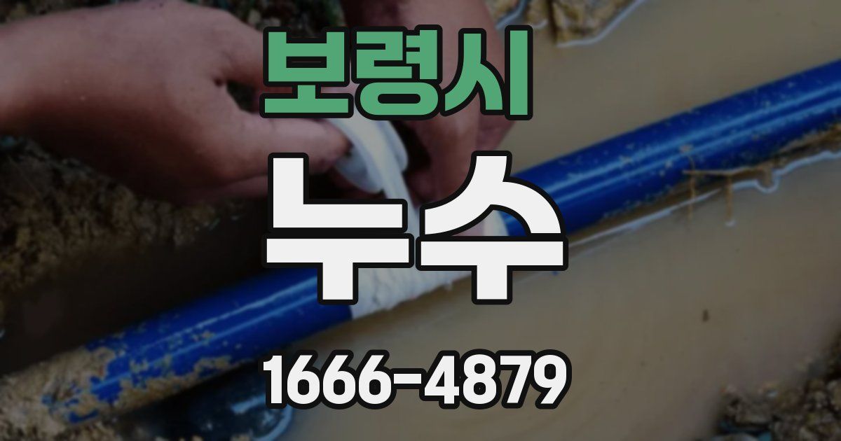 보령시 누수