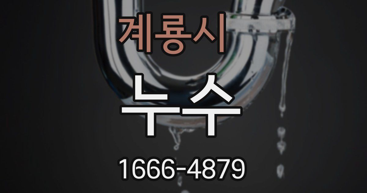 계룡시 누수