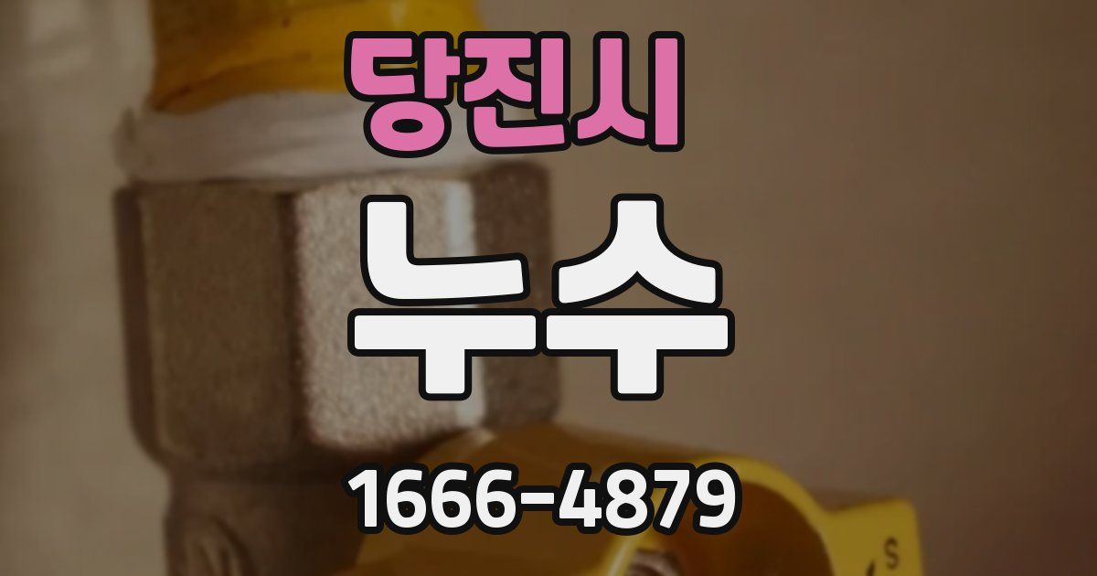 당진시 누수