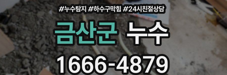 금산군 누수