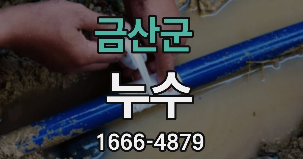 금산군 누수