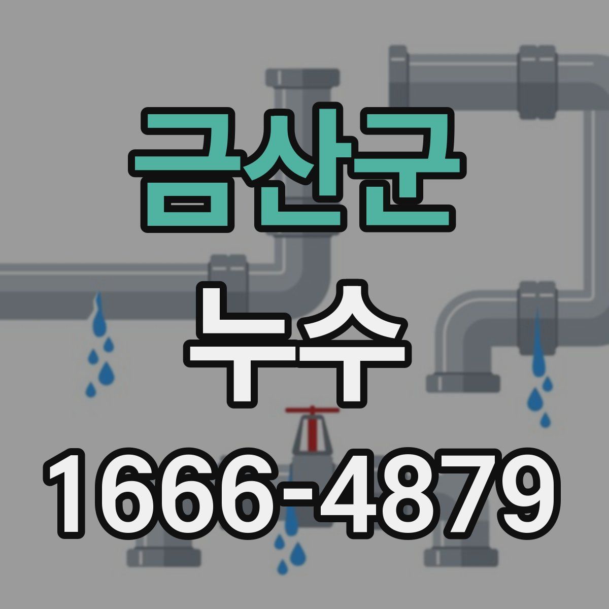 금산군 누수