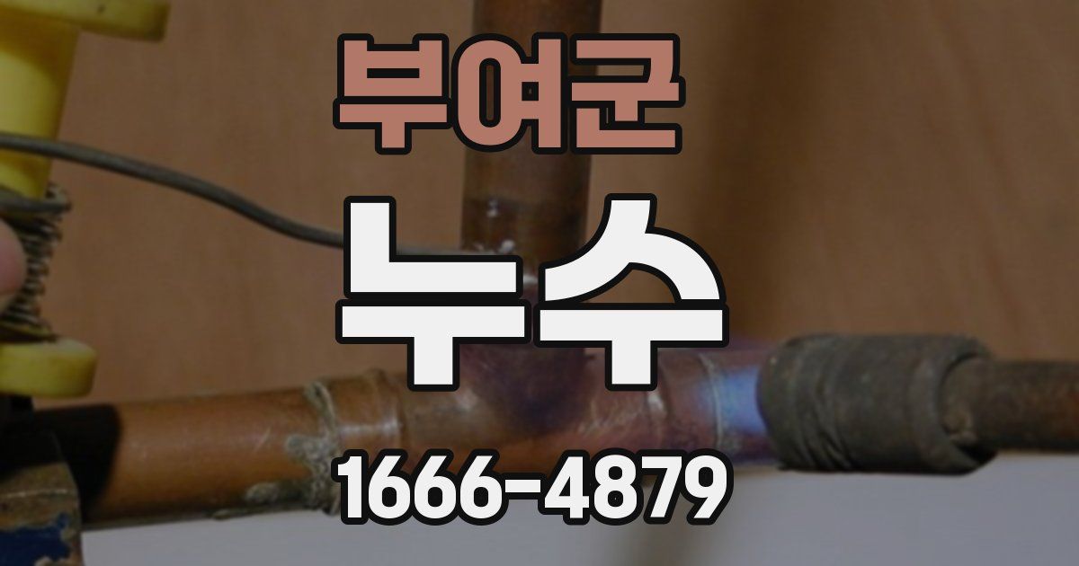 부여군 누수