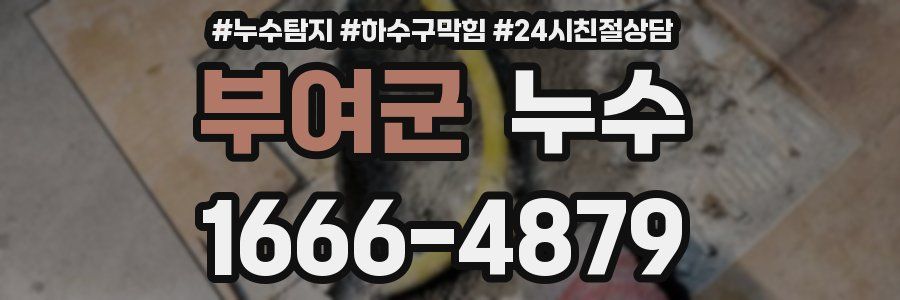 부여군 누수