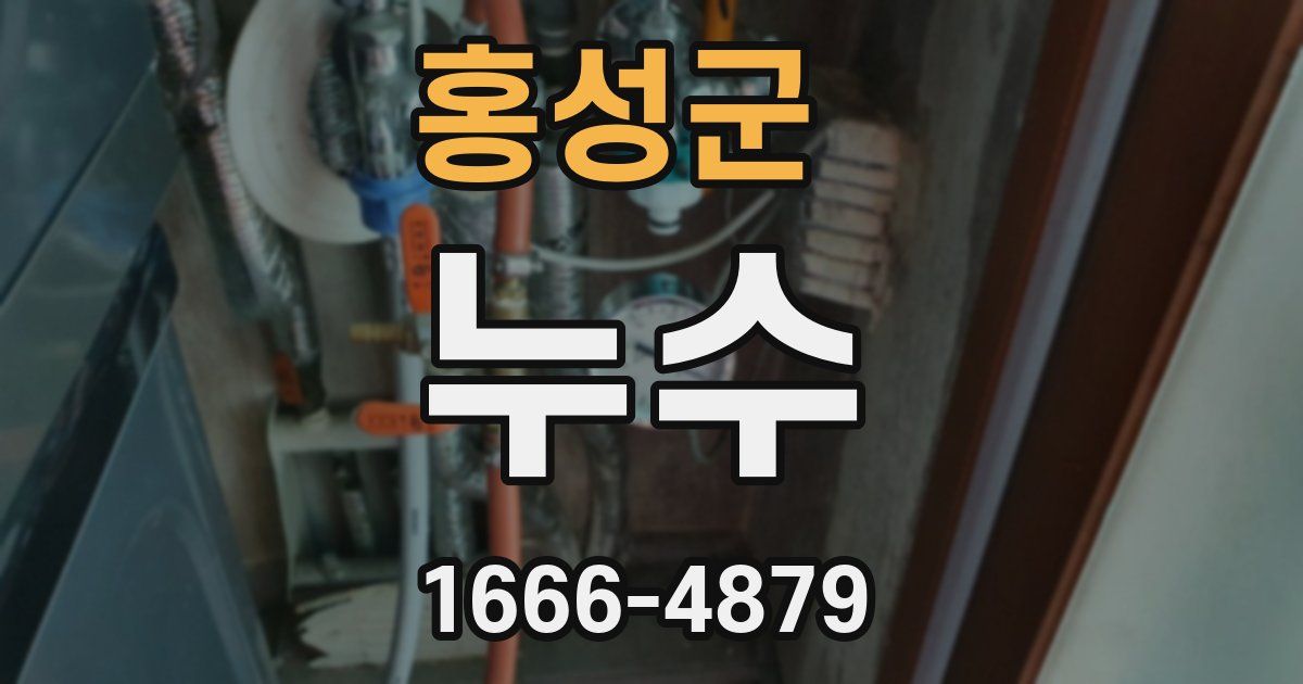 홍성군 누수