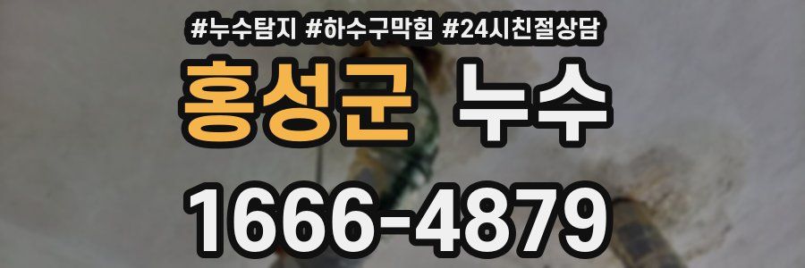 홍성군 누수