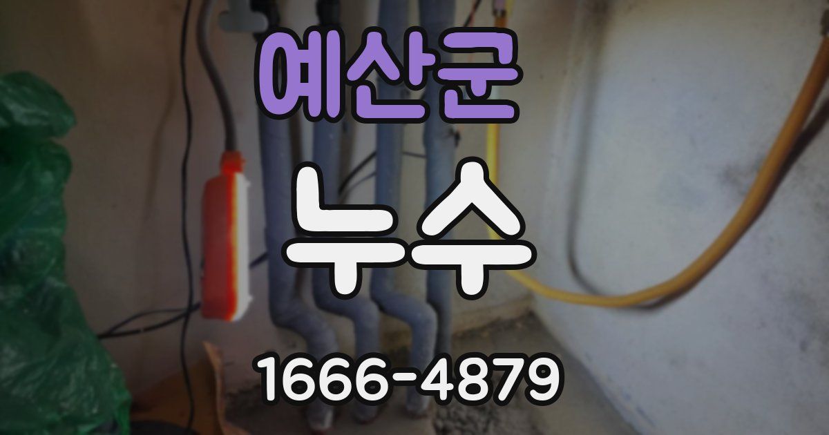 예산군 누수
