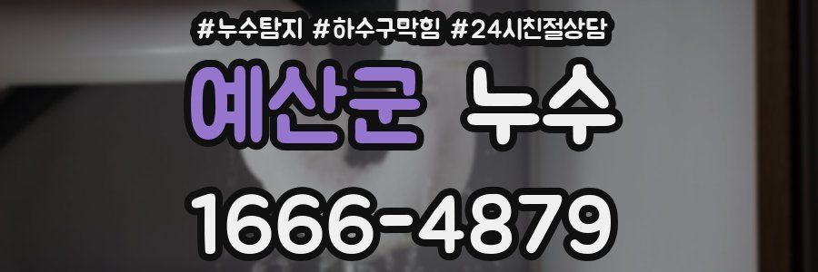 예산군 누수