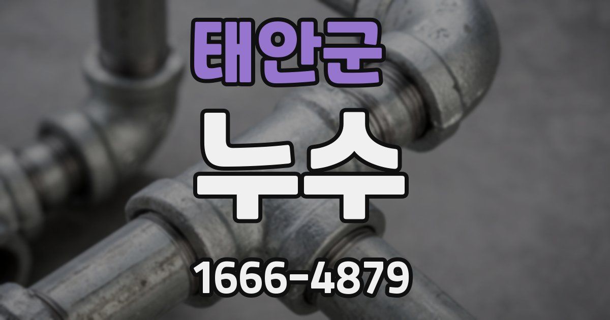 태안군 누수