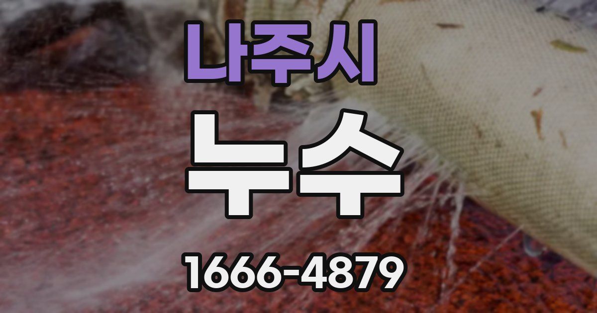 나주시 누수