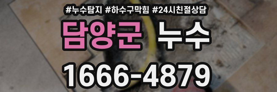 담양군 누수