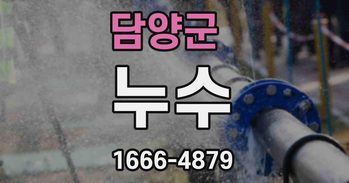 담양군 누수