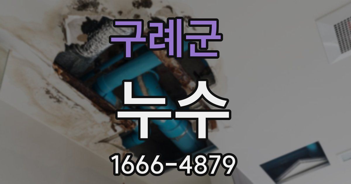 구례군 누수