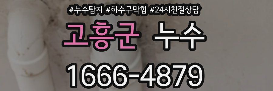 고흥군 누수