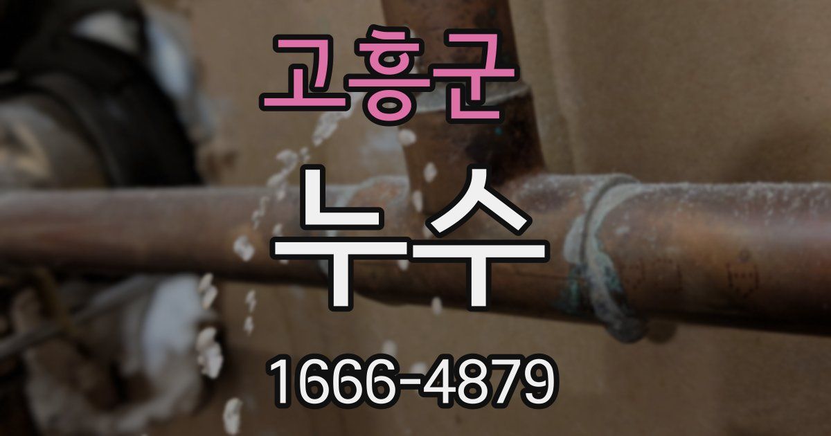 고흥군 누수